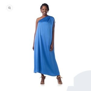 Crosby by Mollie Burch Diana Dress